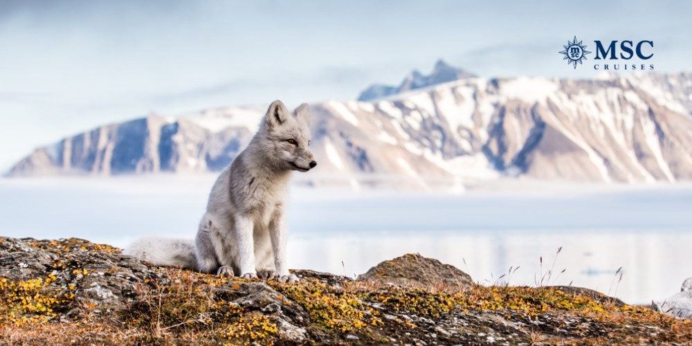 15 dni Rejs Arktyczna przygoda: Spitsbergen & Przylądek Północny
