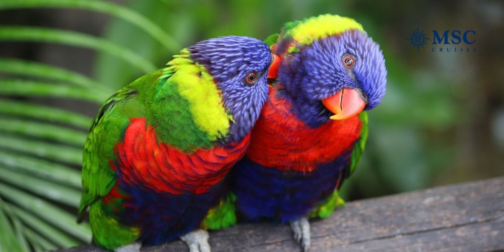 Rejs Bahamy & Meksyk