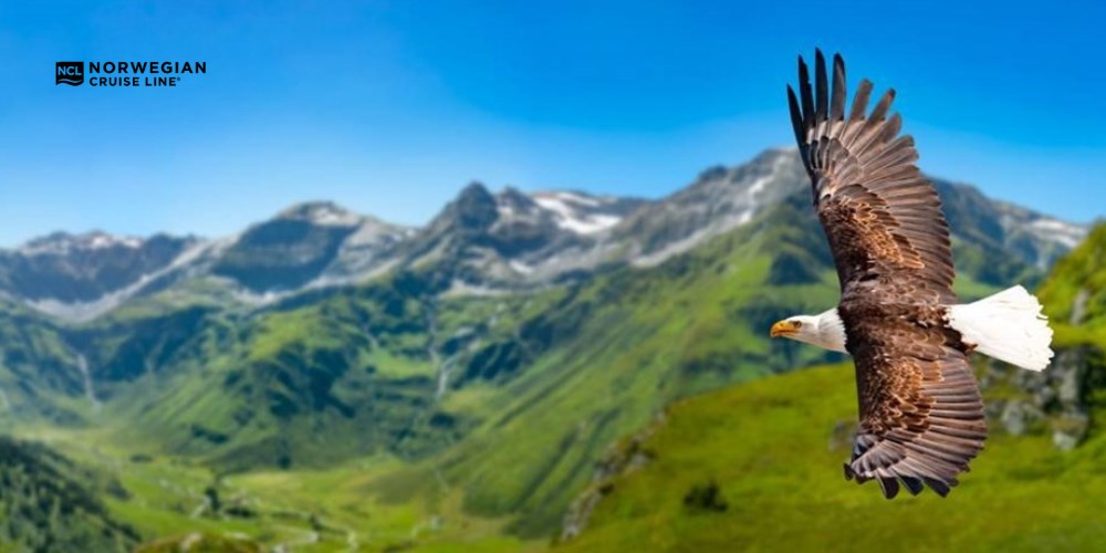 Rejs Szlakiem Złota i Lodowców: Alaska