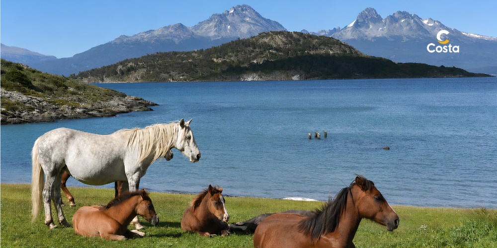 Rejs na koniec świata: Chile, Patagonia & Argentyna